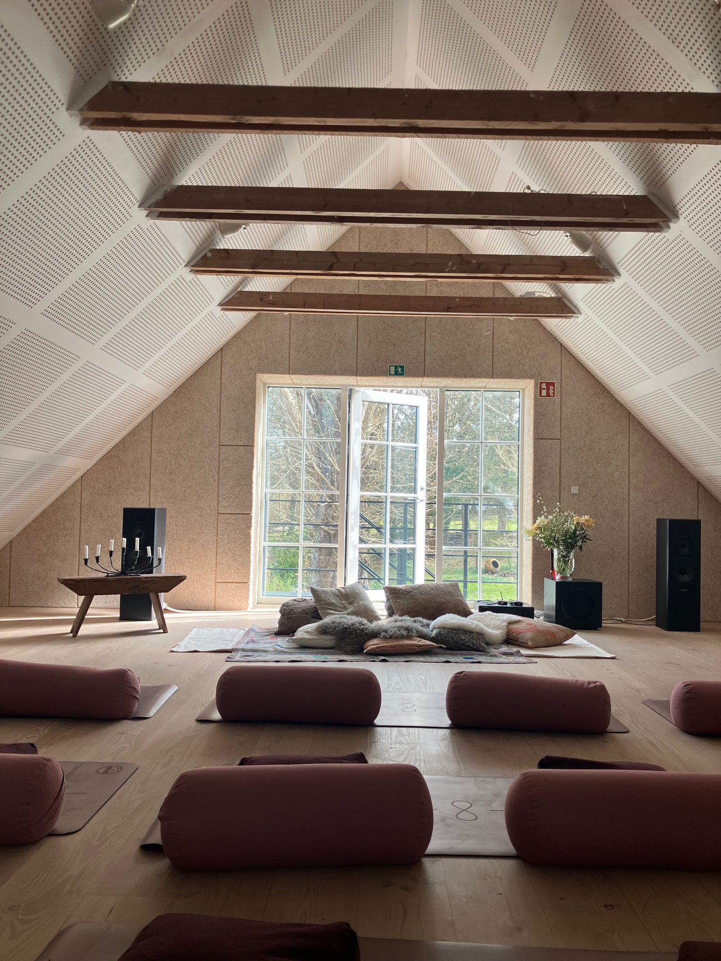 ET LEVENDE ASTROLOGISK RETREAT • Mars & Venus •
